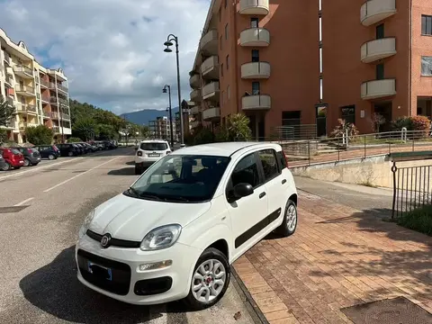 Annonce FIAT PANDA  2020 d'occasion 