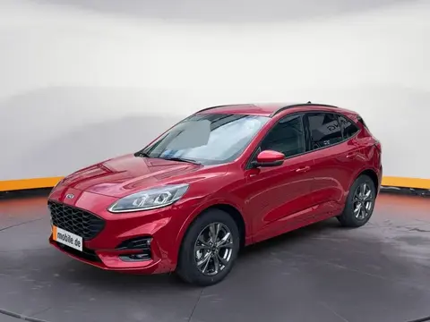 Used FORD KUGA Hybrid 2023 Ad 