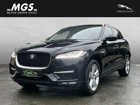 Used JAGUAR F-PACE Diesel 2019 Ad 