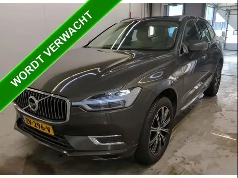 Annonce VOLVO XC60 Hybride 2019 d'occasion 