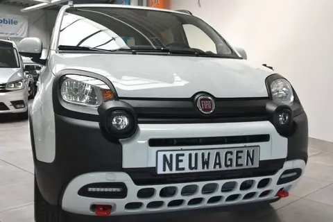 Used FIAT PANDA Hybrid 2024 Ad 