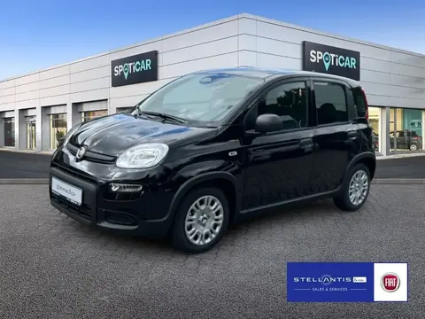 Annonce FIAT PANDA Hybride 2024 d'occasion 