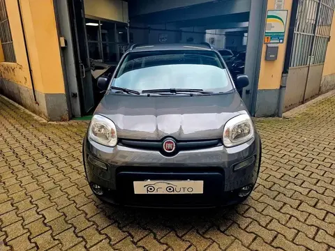 Used FIAT PANDA Hybrid 2022 Ad 