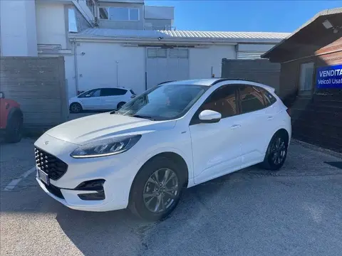 Annonce FORD KUGA Essence 2021 d'occasion 