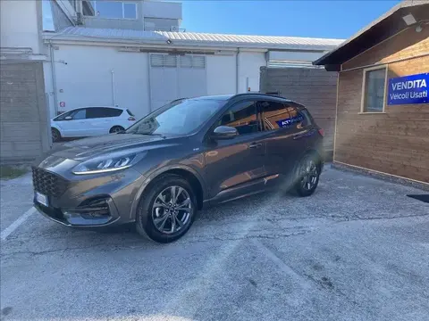 Annonce FORD KUGA Diesel 2021 d'occasion 