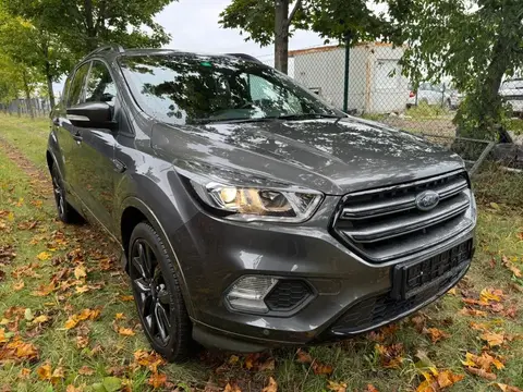 Used FORD KUGA Petrol 2019 Ad 