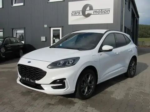 Used FORD KUGA Hybrid 2021 Ad 