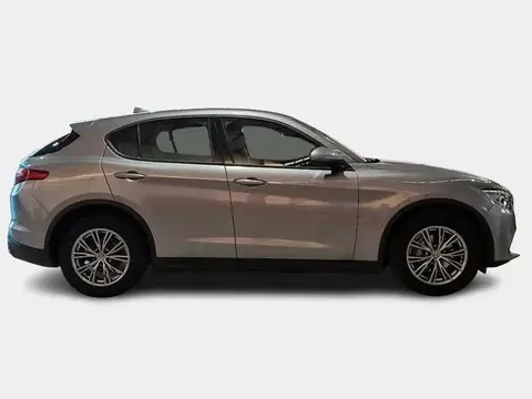 Used ALFA ROMEO STELVIO Diesel 2019 Ad 