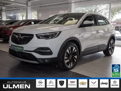 Annonce OPEL GRANDLAND Diesel 2019 d'occasion 