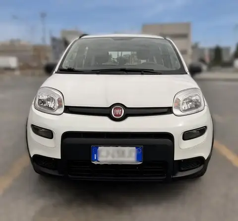 Annonce FIAT PANDA Hybride 2024 d'occasion 