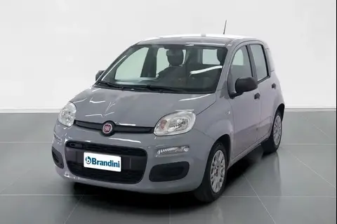 Used FIAT PANDA Hybrid 2020 Ad 