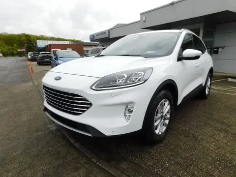 Annonce FORD KUGA Diesel 2024 d'occasion 