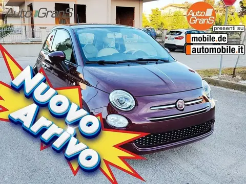 Used FIAT 500 Petrol 2019 Ad 