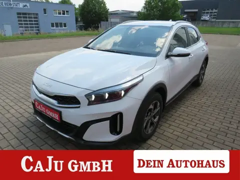 Used KIA XCEED Petrol 2024 Ad 