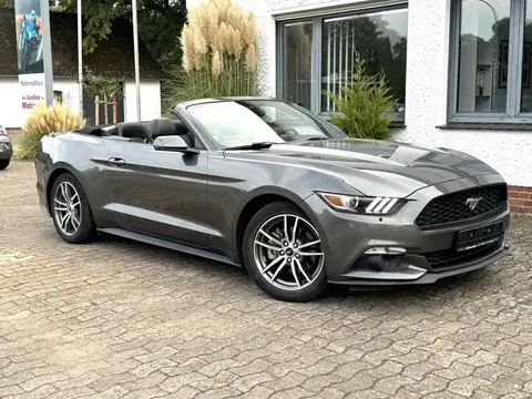 Used FORD MUSTANG Petrol 2016 Ad 