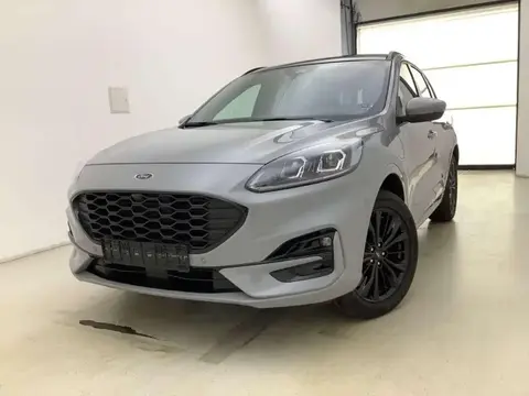 Annonce FORD KUGA Hybride 2024 d'occasion 