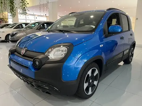 Used FIAT PANDA Hybrid 2024 Ad 