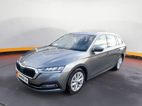 Used SKODA OCTAVIA Petrol 2023 Ad 