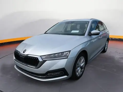 Used SKODA OCTAVIA Petrol 2023 Ad 