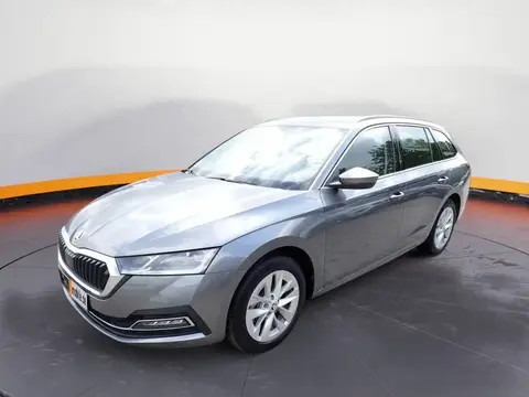 Annonce SKODA OCTAVIA Diesel 2023 d'occasion 