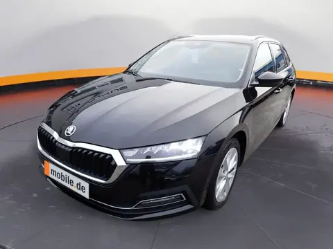 Annonce SKODA OCTAVIA Essence 2023 d'occasion 