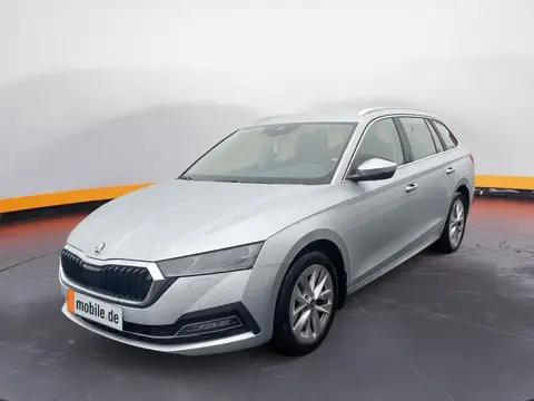 Annonce SKODA OCTAVIA Essence 2023 d'occasion 