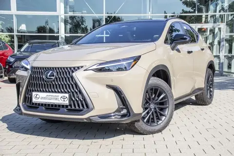 Used LEXUS NX Hybrid 2024 Ad 