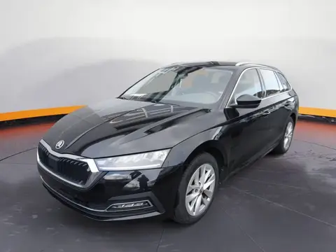 Used SKODA OCTAVIA Petrol 2022 Ad 