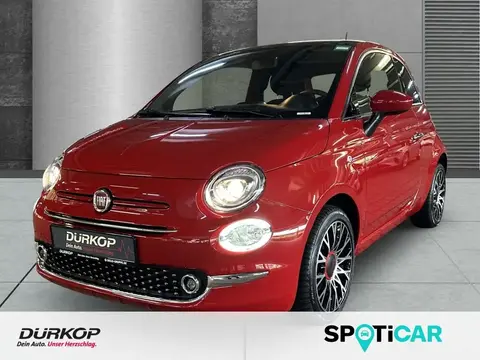 Used FIAT 500 Petrol 2023 Ad 