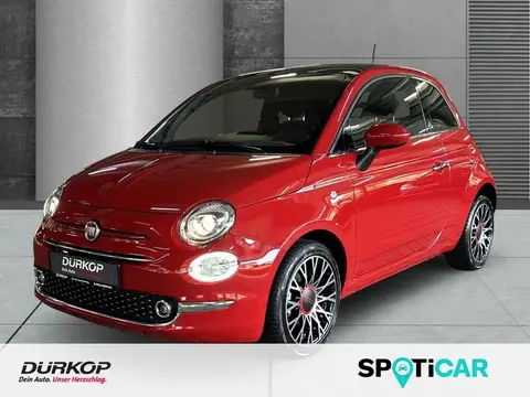 Used FIAT 500 Petrol 2023 Ad 