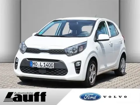 Used KIA PICANTO Petrol 2023 Ad 