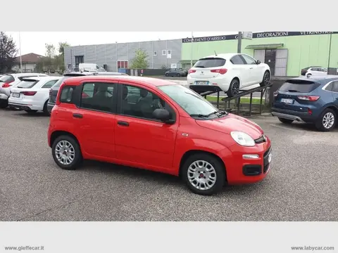 Used FIAT PANDA Hybrid 2021 Ad 