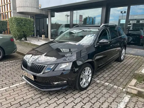 Used SKODA OCTAVIA Diesel 2019 Ad 