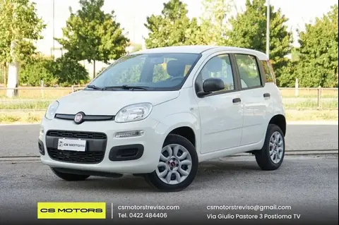 Used FIAT PANDA Petrol 2019 Ad 