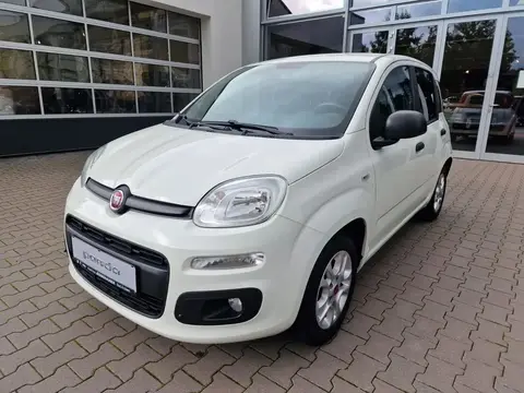 Used FIAT PANDA Petrol 2017 Ad 