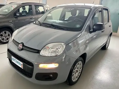 Annonce FIAT PANDA GPL 2019 d'occasion 