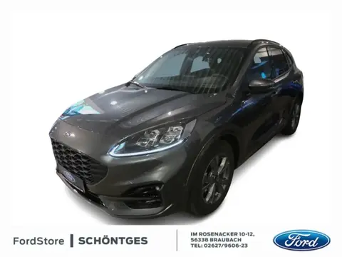 Used FORD KUGA Hybrid 2024 Ad 