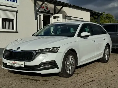 Used SKODA OCTAVIA Diesel 2020 Ad 