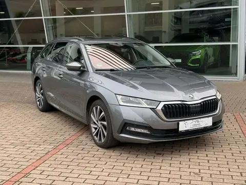 Annonce SKODA OCTAVIA Diesel 2022 d'occasion 