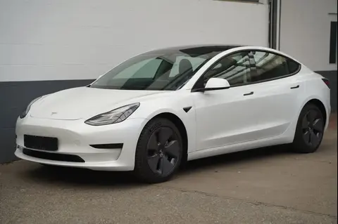 Used TESLA MODEL 3 Not specified 2023 Ad 