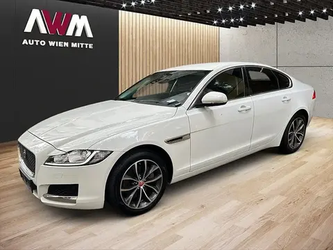 Annonce JAGUAR XF Diesel 2018 d'occasion 