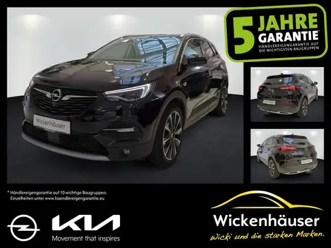 Used OPEL GRANDLAND Hybrid 2020 Ad 