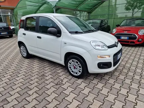 Used FIAT PANDA Petrol 2020 Ad 