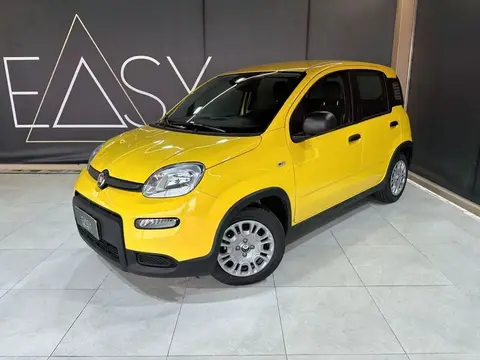 Used FIAT PANDA Hybrid 2024 Ad 