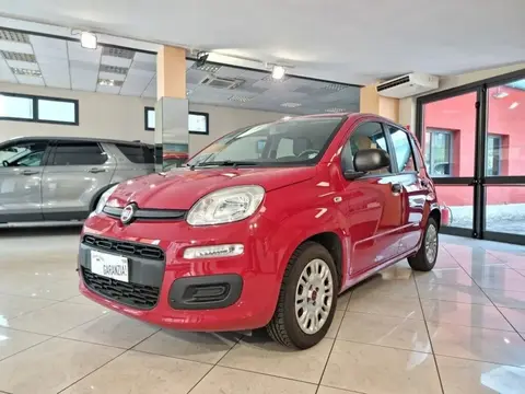 Annonce FIAT PANDA Diesel 2016 d'occasion 