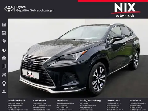 Used LEXUS NX Hybrid 2021 Ad 