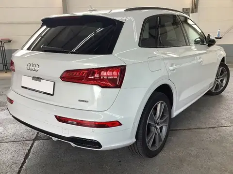 Used AUDI Q5 Diesel 2019 Ad 