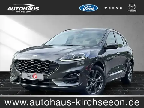 Used FORD KUGA Petrol 2023 Ad 