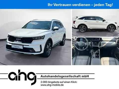 Used KIA SORENTO Petrol 2024 Ad 