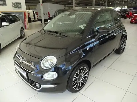 Used FIAT 500 Petrol 2023 Ad 